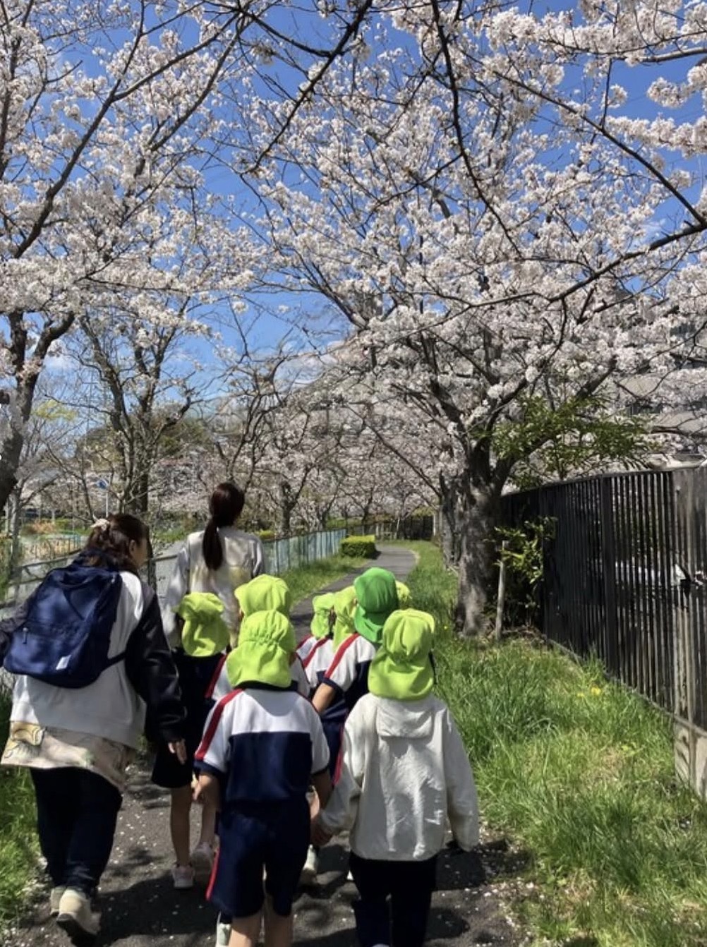 児童福祉部門 認定こども園・保育園