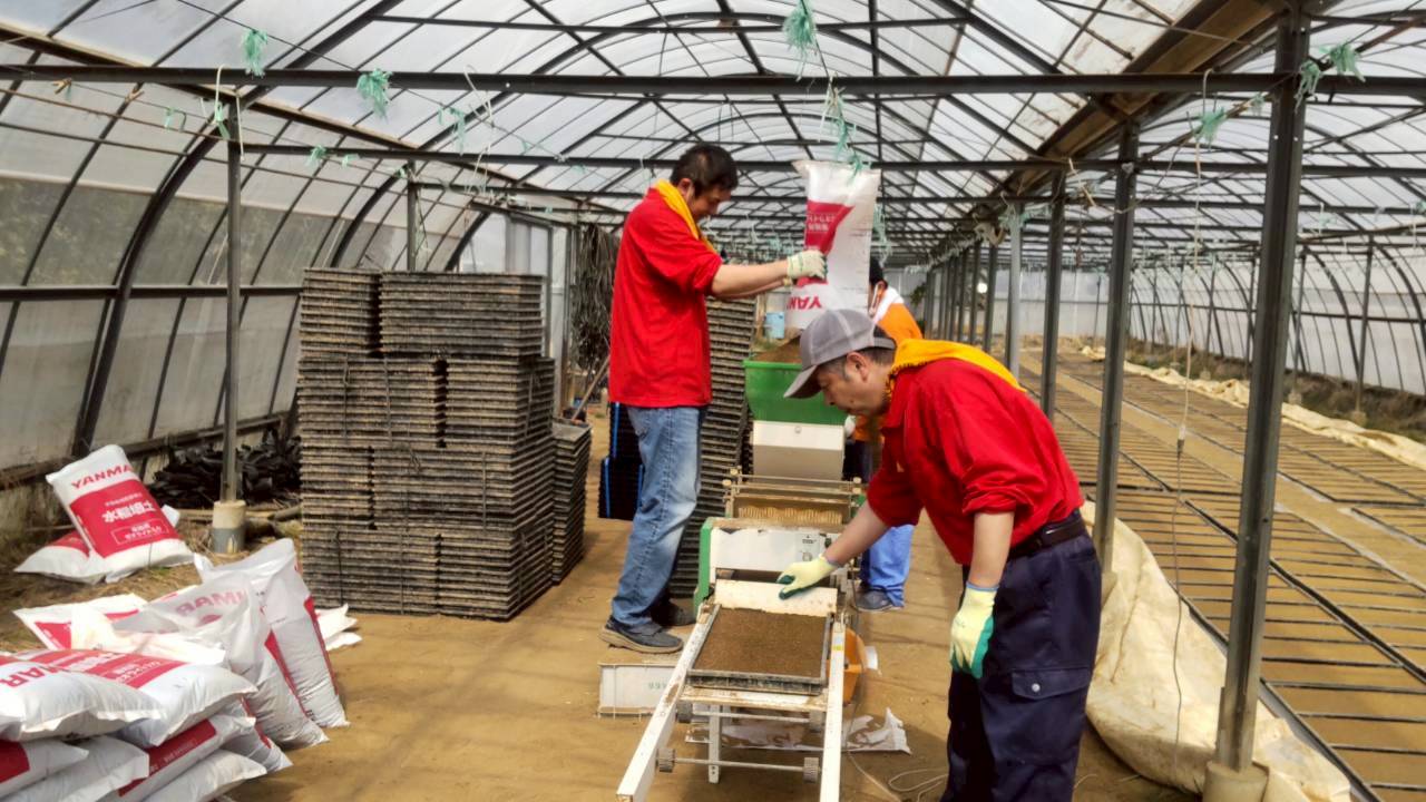育苗ハウスで苗箱に土を入れる作業の様子